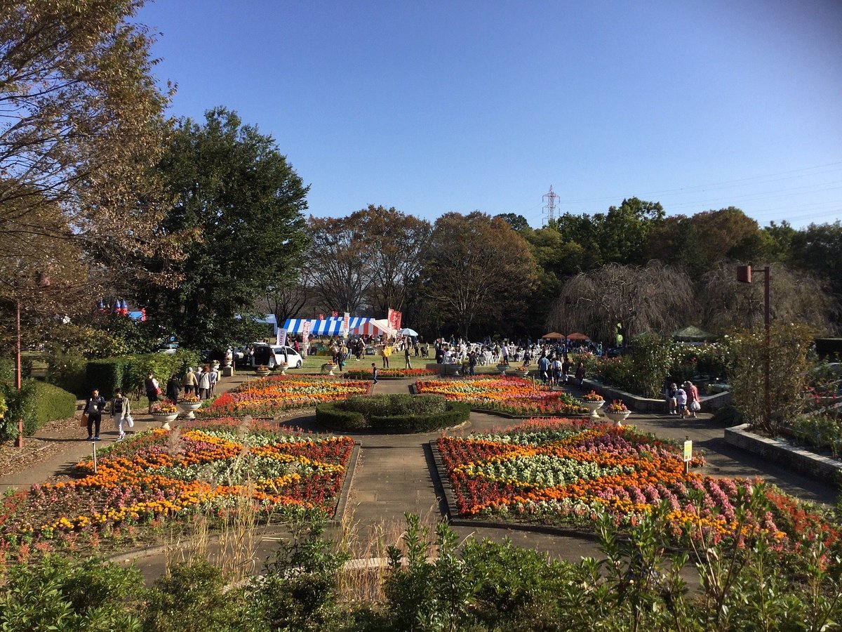 🌳 지광산 공원(치코잔 코엔) 이미지 9
